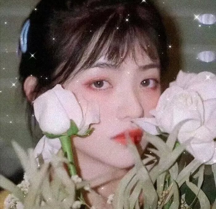 玉女相思封面